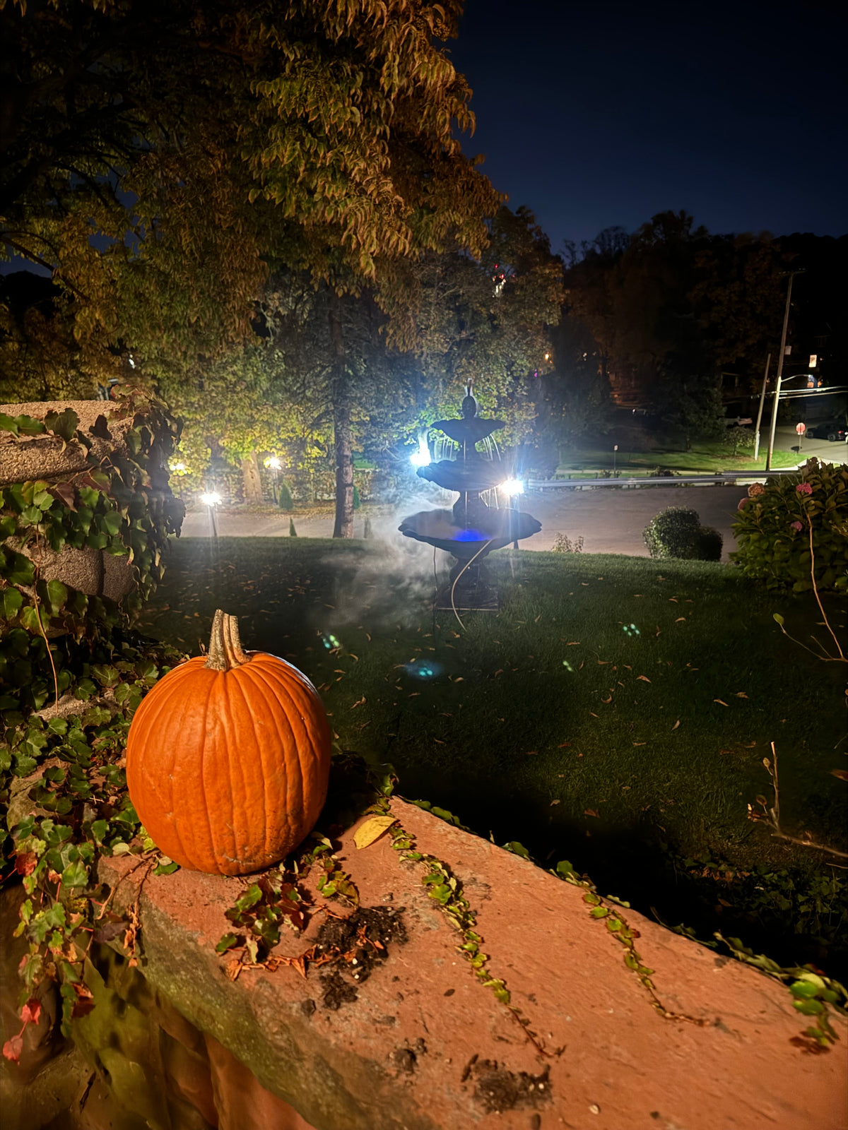 Halloween Haunted Enchanted Forest October 29th, 30th & 31st 2026