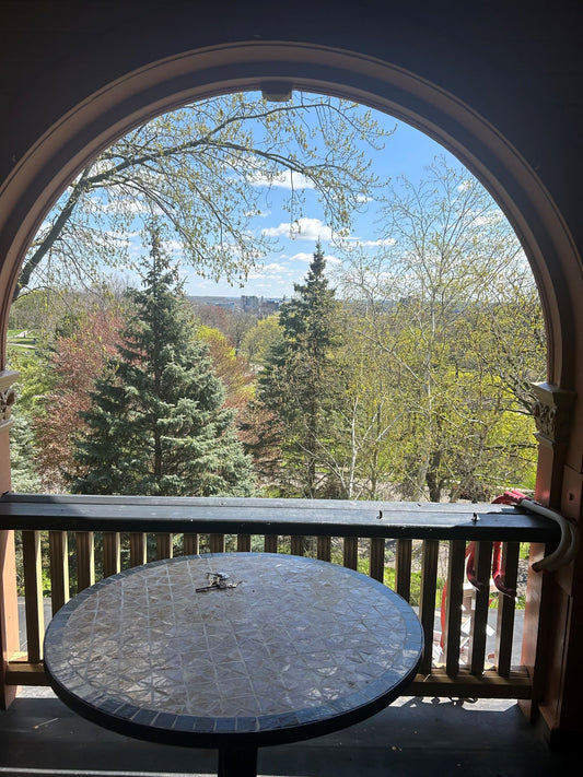 Group Guided Castle Tour with Cemetery Option (Must Schedule)